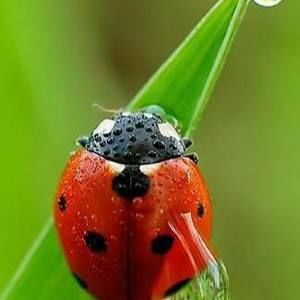 Meet your Posher, Inhale